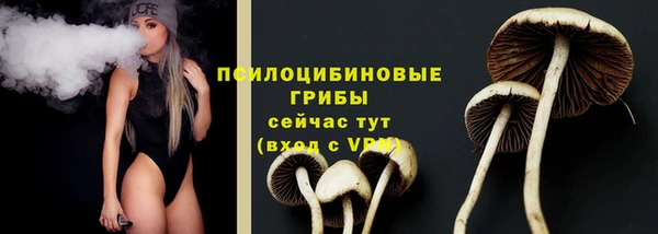 таблы Болотное